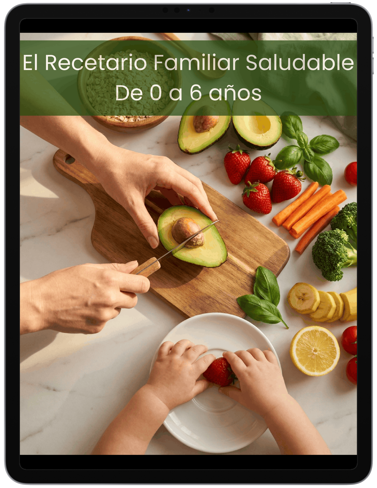 Recetario Familiar Saludable: Para niños de 0 a 6 años.